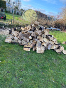 Photo de galerie - Préparation bois coupe en 50cm