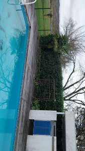 Photo de galerie - Taille de haies et d'arbustes