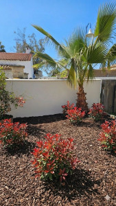 Photo de galerie - Façade finition talochée ?