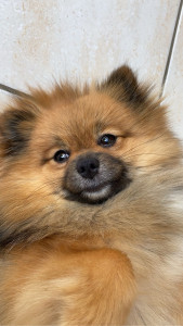 Photo de galerie - Garde de Tia 