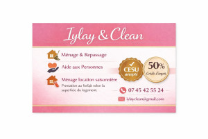 Photo de galerie - Aide aux personnes menage..  