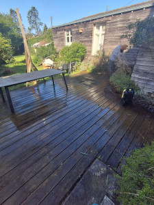 Photo de galerie - Avant Nettoyage 