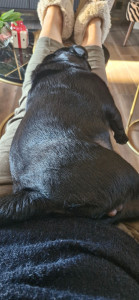 Photo de galerie - Dodo sur les genoux de ma nounou !!!