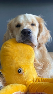 Photo de galerie - Aide à domicile, aide à la personne 