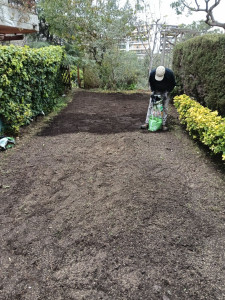 Photo de galerie - Création de pelouse 