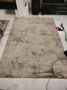 Photo de galerie - Avant lavage tapis 2.50/2