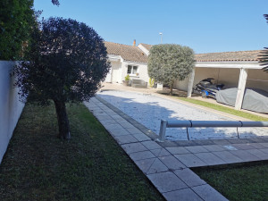 Photo de galerie - Elagage et coupe d'arbres