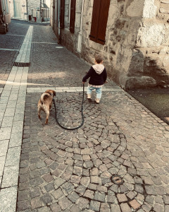 Photo de galerie - Nos petit amis à 4 pattes 