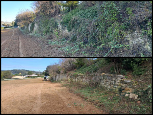 Photo de galerie - Tonte de pelouse - Débroussaillage