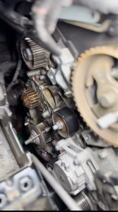 Photo de galerie - Distribution 