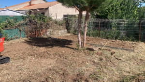 Photo de galerie - Remise au propre.