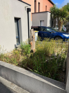 Photo de galerie - Desherbage