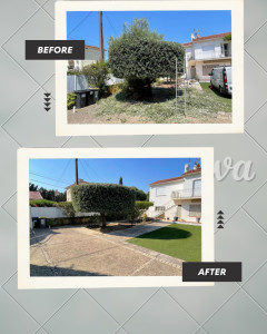 Photo de galerie - élaguage