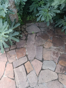 Photo de galerie - Tous type de surface