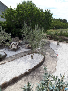 Photo de galerie - Jardin