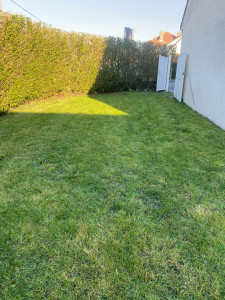 Photo de galerie - Tonte de pelouse sur steene particulier 