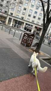 Photo de galerie - Balade du midi 