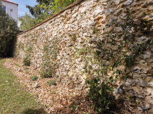 Photo de galerie - Paysagiste - Aménagement du jardin