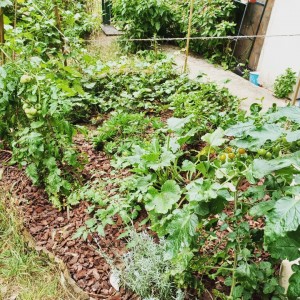 Photo de galerie - Jardinier