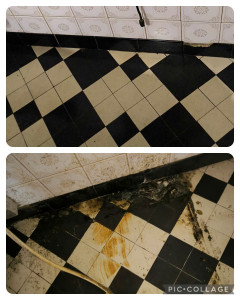 Photo de galerie - Entretien pas fait depuis une dizaine d'années.