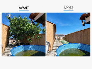 Photo de galerie - Elagage et coupe d'arbres