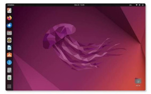 Photo de galerie - Spécialiste Ubuntu Linux