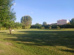 Photo de galerie - Tonte réalisée 