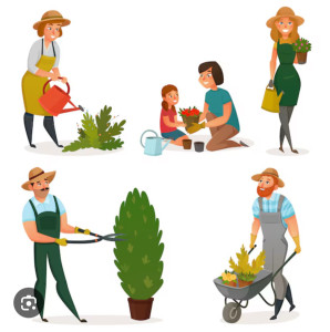 Photo de galerie - ___