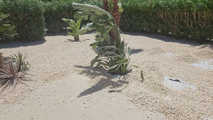 Photo de galerie - Paysagiste - Aménagement du jardin