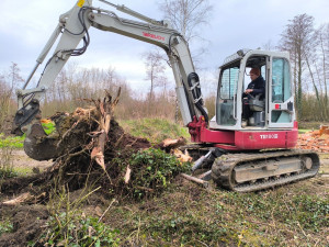 Photo de galerie - Arrachage d'arbres et de souches