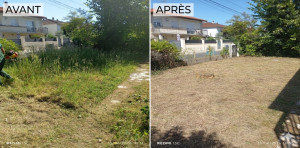 Photo de galerie - Débroussaillage herbes haute