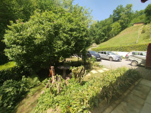 Photo de galerie - Hamac pas japonais et plantation