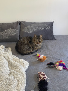 Photo de galerie - Petit pensionnaire 