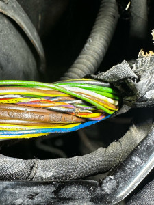 Photo de galerie - Recherche panne électrique faisceau moteur 