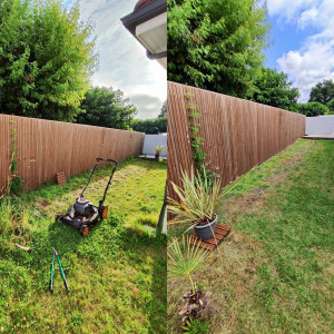 Photo de galerie - Tonte d'un petit Jardin 