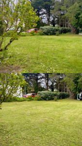 Photo de galerie - Tonte avec injection d’herbe