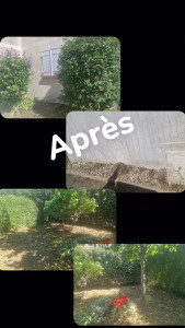 Photo de galerie - Taille de haie et debroussaillage 