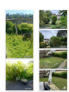 Photo de galerie - Petit jardin laissé à l’abandon : débroussaillage, taille des arbres, arbustes, tonte et nettoyage