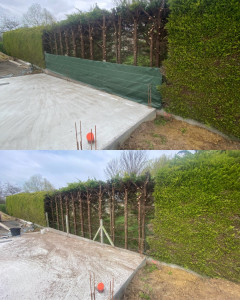 Photo de galerie - Taille de haies et d'arbustes