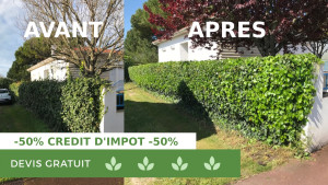 Photo de galerie - Taille de haie