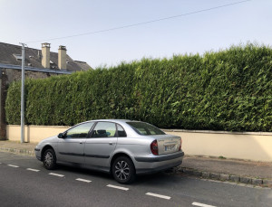Photo de galerie - Jardinier