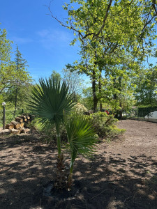Photo de galerie - Jardinier
