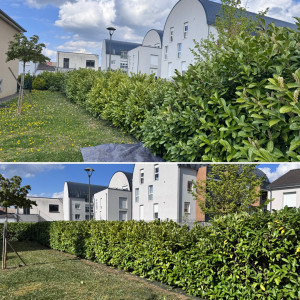 Photo de galerie - Guénange 