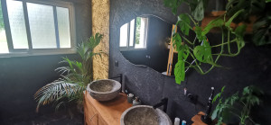 Photo de galerie - Salle de bain design sombre avec deux vasques en pierre naturelle posées sur un meuble en bois, plantes tropicales (monstera, palmier), mur en enduit texturé noir et miroir à bord ondulé.