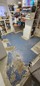 Photo de galerie - Pose de balatum 
peinture 