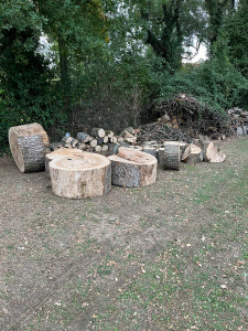 Photo de galerie - Coupe de bois 