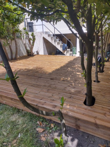 Photo de galerie - Terrasse bois, conservation des végétaux 