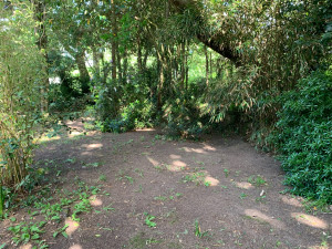 Photo de galerie - Tonte de pelouse - Débroussaillage
