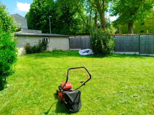 Photo de galerie - Tonte d'une pelouse 