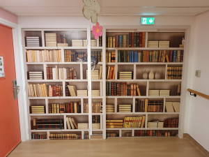 Photo de galerie - Pose de trompes l'oeil 